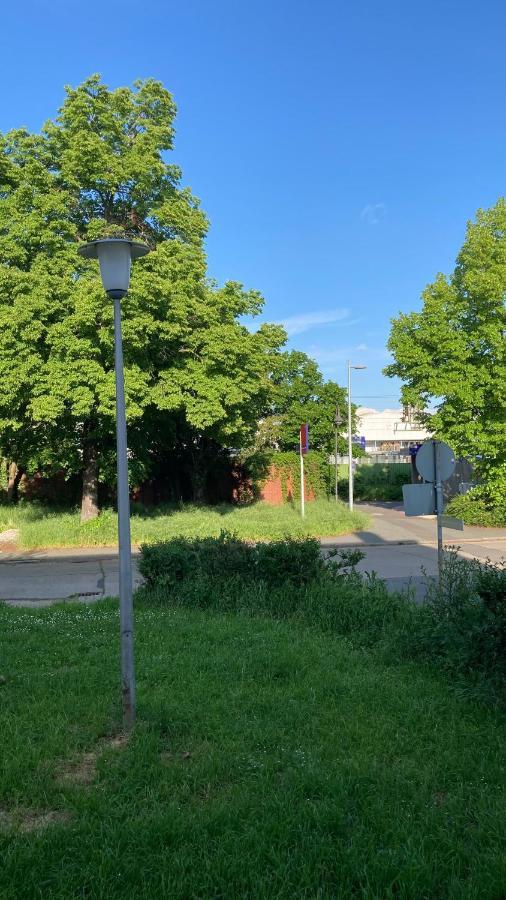 Ferienwohnung -Isola Madre Biebesheim am Rhein Exteriér fotografie